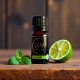 Laim (Citrus aurantifolia) eeterlik õli 10ml