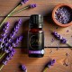 Lavendel (Lavandula angustifolia) eeterlik õli10ml