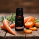 Porgand (Daucus carota) eeterlik õli10ml